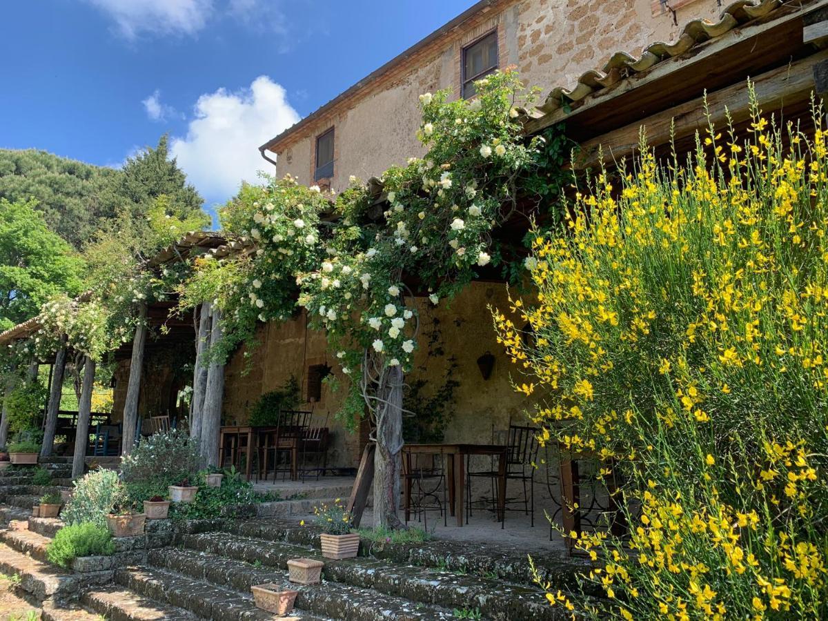 Agriturismo locanda settimo cielo Lubriano Esterno foto