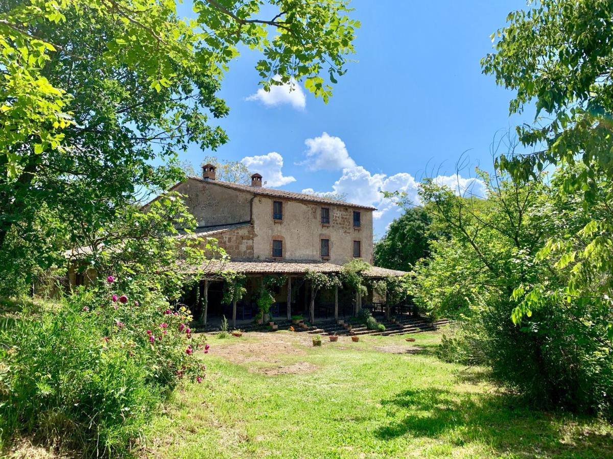 Agriturismo locanda settimo cielo Lubriano Esterno foto