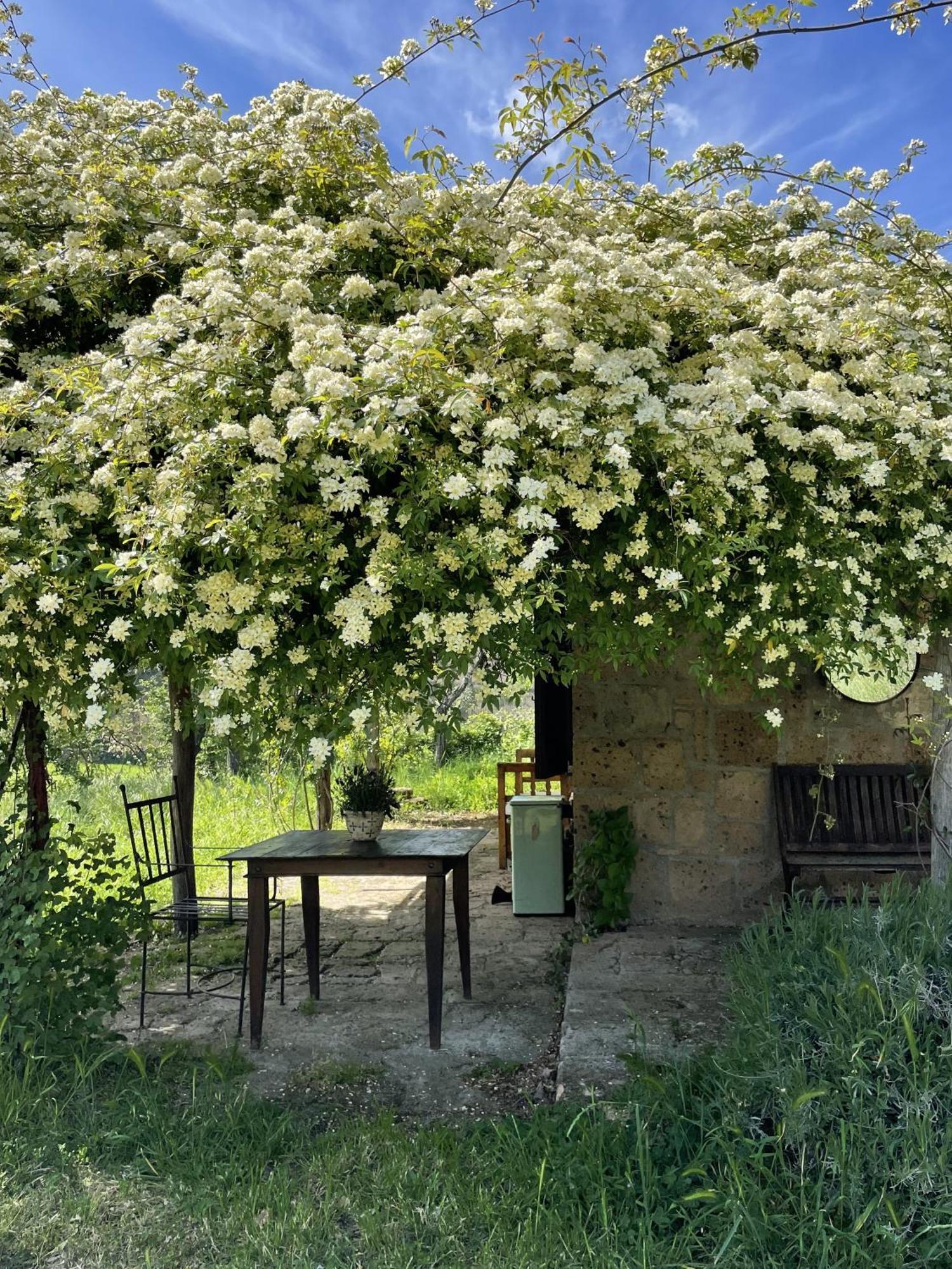 Agriturismo locanda settimo cielo Lubriano Esterno foto