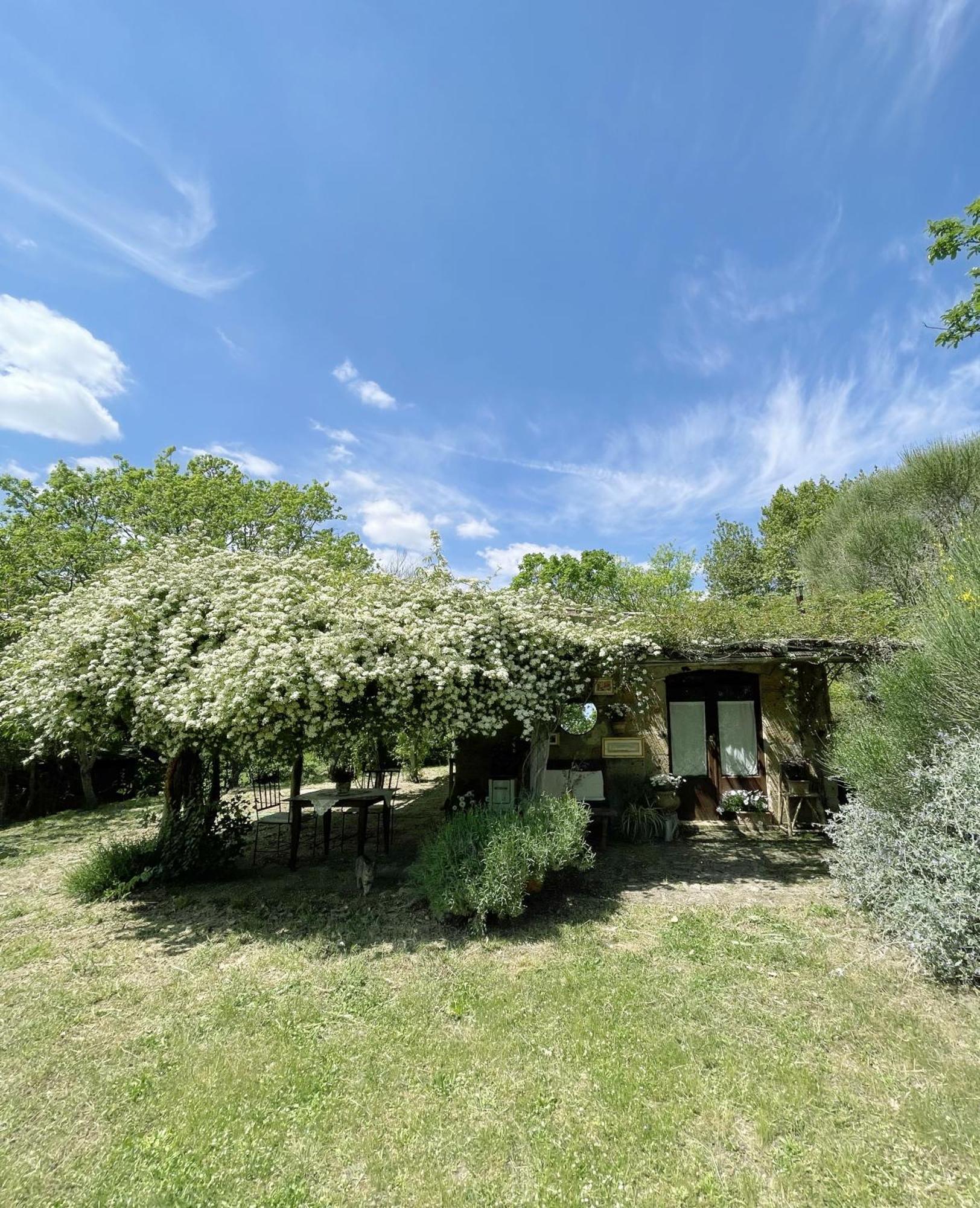 Agriturismo locanda settimo cielo Lubriano Esterno foto