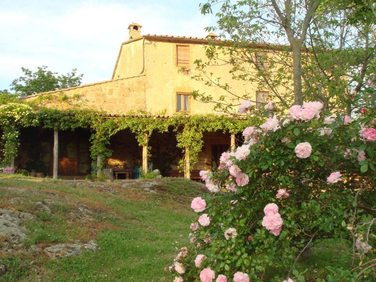 Agriturismo locanda settimo cielo Lubriano Esterno foto