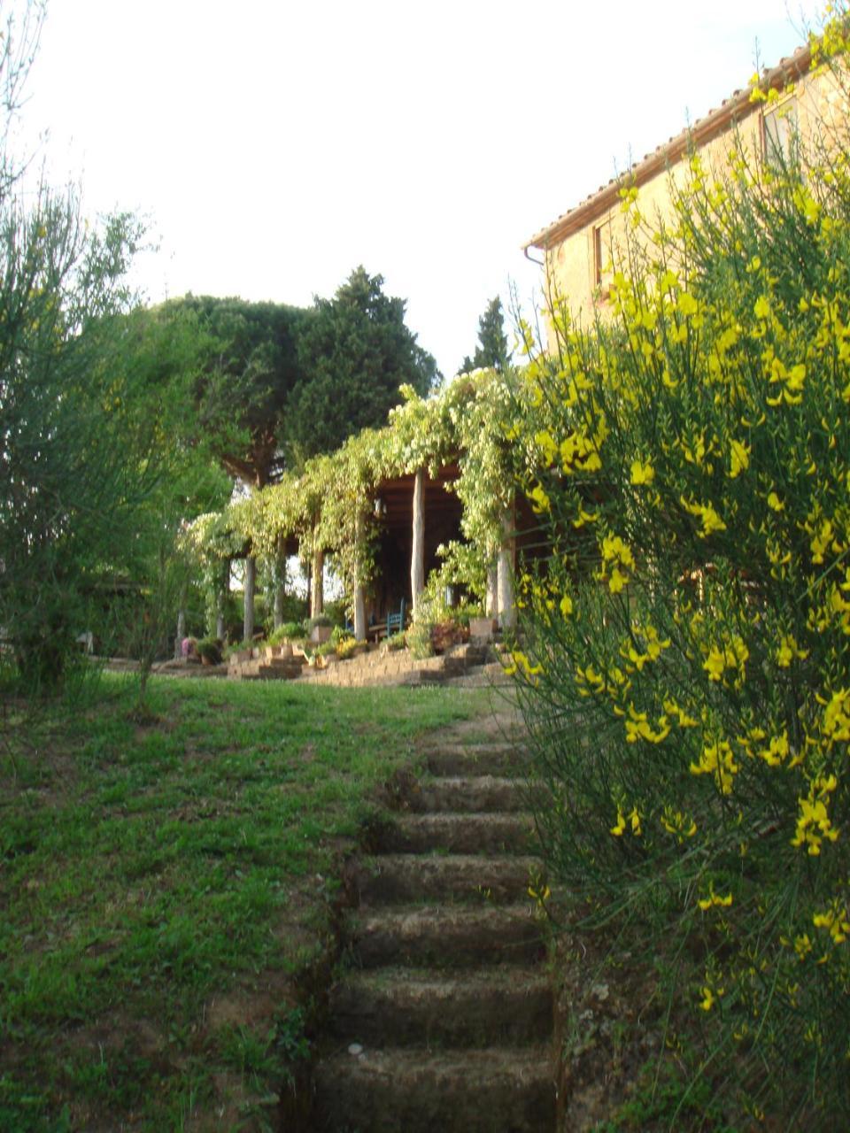 Agriturismo locanda settimo cielo Lubriano Esterno foto
